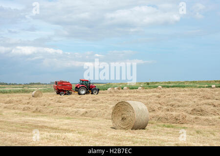 Runde Heuballen, Shingle Street, Suffolk, UK. Stockfoto