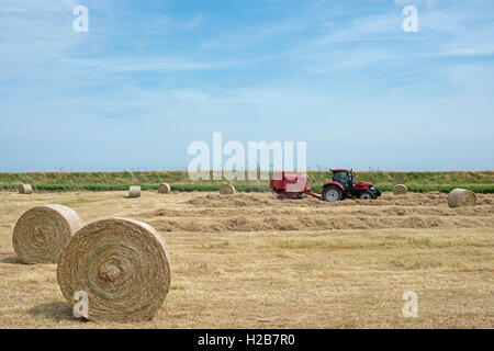 Runde Heuballen, Shingle Street, Suffolk, UK. Stockfoto