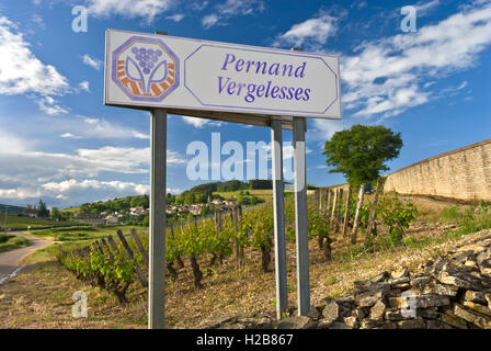 Pernand-Vergelesses Dorf und die Weinberge, Cote d ' or, Burgund, Frankreich. Côte de Beaune. Stockfoto