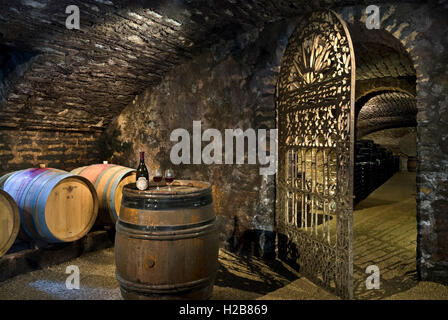 Chateau de Pommard Historischer Weinkeller mit Rotweinflasche auf Barrel Pommard, Burgund Cote d'Or, Frankreich Stockfoto