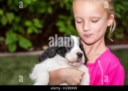 Sieben Jahre altes Mädchen halten und umarmen ihr zwei Monate altes Springer Spaniel Welpen, Tre, in Issaquah, Washington, USA Stockfoto