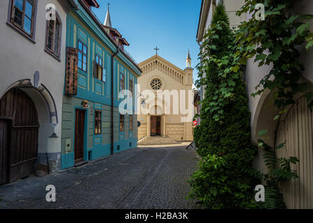 Saint-Joseph römisch-katholische Kathedrale im historischen Zentrum von Sighisoara, Rumänien. Ansicht von Bastionului (Bastion) Straße Stockfoto