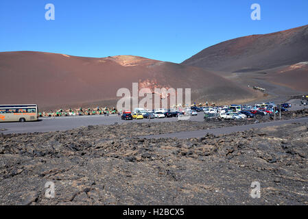 Kamel-Safari in Lanzarote Kanarische Islands.View der Touristen, Kamele vulkanischen Landschaft Autos auf Parkplatz Stockfoto