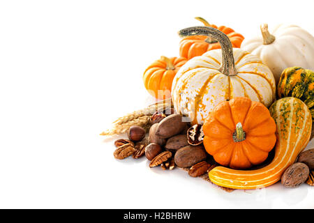 Herbst-Exemplar mit dekorative Kürbisse Stockfoto