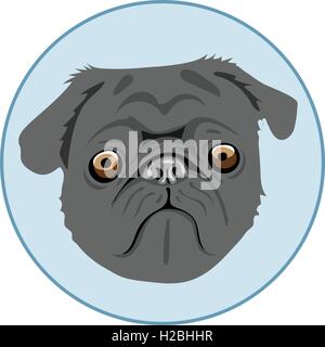 Digitale Vektor Mops Hund Gesicht, im blauen Kreis, flachen Stil Stock Vektor