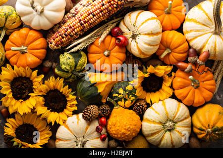 Herbst-Hintergrund mit Kürbissen Stockfoto