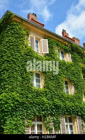 Stadthaus mit Wände mit natürlichen Grünpflanzen Stockfoto