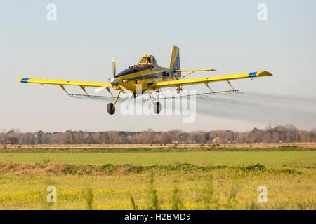 Eine Antenne Sprühflugzeug sprüht ein Feld im ländlichen Eunice, Louisiana. Stockfoto