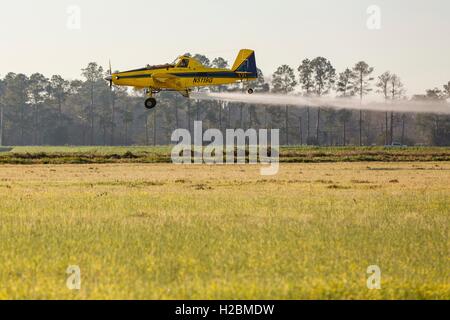 Eine Antenne Sprühflugzeug sprüht ein Feld im ländlichen Eunice, Louisiana. Stockfoto