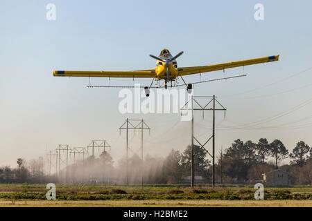Eine Antenne Sprühflugzeug sprüht ein Feld im ländlichen Eunice, Louisiana. Stockfoto