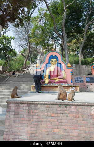 Buddha-Statue in Swayambhunath Tempel, Kathmandu, Nepal Stockfoto