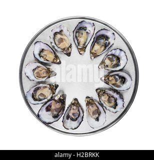 Dutzend frische Austern auf spezielle Kochen und servieren Metalltablett isoliert Draufsicht Stockfoto