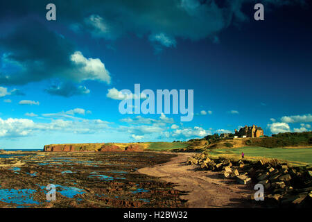 Lange Craigs und Winterfield Golfplatz von John Muir Weg, Belhaven Bay, John Muir Country Park, Dunbar, East Lothian Stockfoto