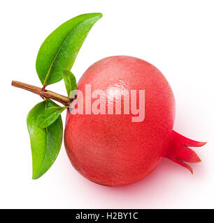 Granatapfel mit Blättern isoliert auf einem weißen Hintergrund Beschneidungspfad Stockfoto