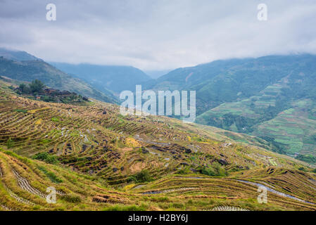 Chinesischen Dorf und Reis Felder bei bewölktem Wetter Stockfoto