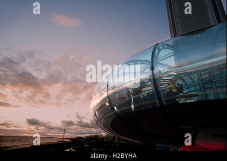 Passagiere auf der i360, den höchsten Turm der Welt bewegte Beobachtung, genießen Sie die Aussicht über Brighton an der Südküste Englands. Stockfoto