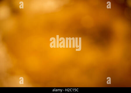 abstrakte unscharfen Hintergrund mit einem Gelbton Stockfoto