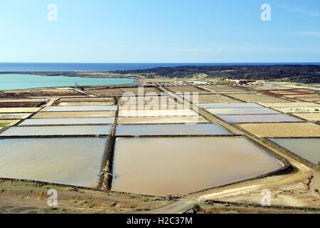 Lanzarote, Kanarische Inseln, Spanien. Solare Evaporation Salinen zur Salzgewinnung kommerzielle Meer bei Salinas de Janubio, Yaiza Stockfoto