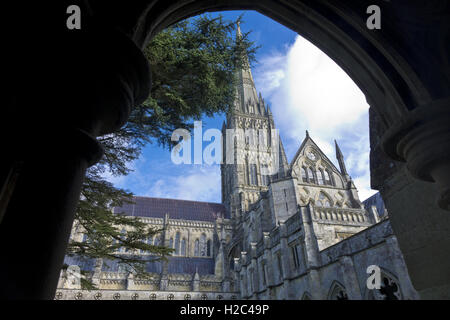 Salisbury Kathedrale Turmspitze aus Klöstern Stockfoto