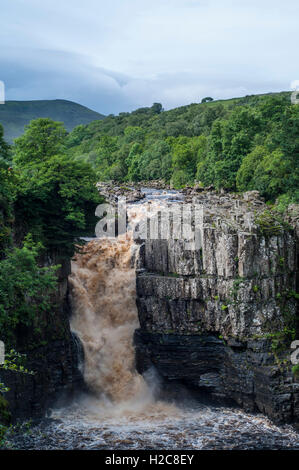 Des Flusses Tees über hohe Kraft Wasserfall fließt Stockfoto