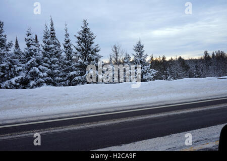 Winterlandschaft mit schneebedeckten Bäumen entlang der Autobahn. Stockfoto