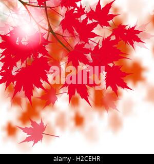 Rot-Ahorn Blätter an den Ästen. Japanische rot-Ahorn. Vor dem Hintergrund der Blätter im Herbst. Abbildung Stock Vektor