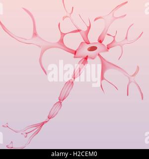 Neuron, Nervenzelle Stock Vektor