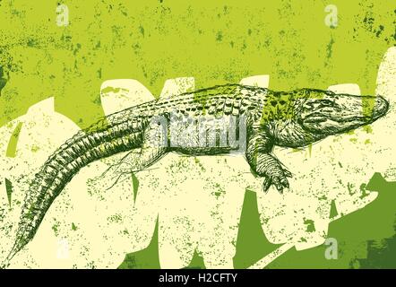 Alligator Textur Hintergrund ein amerikanischer Alligator über einen abstrakten Hintergrund. Stock Vektor