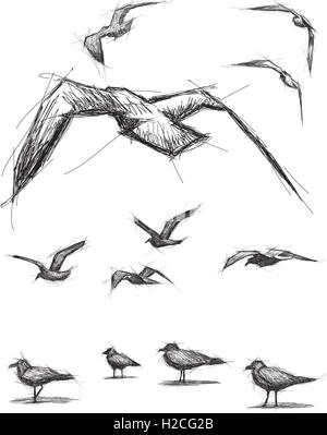 Skizzenhafte Vögel lückenhaft, handgezeichnete Vögel. Stock Vektor