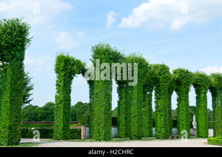 grüne Zaun in einen Park und blauen Sommerhimmel Stockfoto