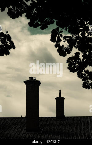 Silhouette von Dach, Schornstein und Baum des alten Hauses mit dunklen, geheimnisvollen und launisch. Stockfoto