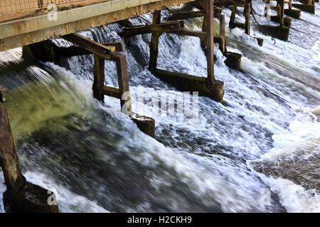 Wehr auf der Themse bei Abingdon Lock Stockfoto