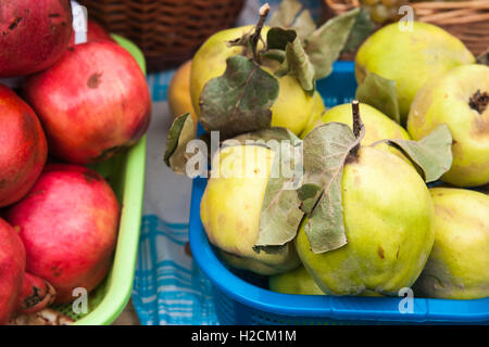 Grüne Äpfel mit trockenen Blättern und roten Granatäpfel in Kunststoffplatten auf dem Display für den Verkauf auf einer lokalen Messe aufgetürmt. Herbst-Szene Stockfoto