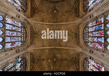 Obergrenze der King's College Chapel, der Cambridge Universität, die die mittelalterlichen Ventilator vaulting. Stockfoto