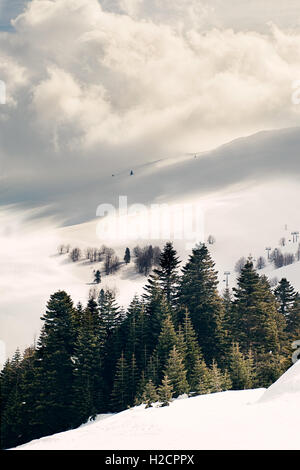 Winterlandschaft mit schneebedeckten Bergen und immergrünen Bäumen unter bewölktem Himmel, die die friedliche Schönheit der Natur im Winter einfangen Stockfoto