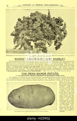 Diese Seite aus dem „Garten- und Bauernhandbuch 1894“ bietet praktische Anleitungen zu landwirtschaftlichen und Gartentechniken mit Schwerpunkt auf Pflanzenanbau und Betriebsführung. Stockfoto