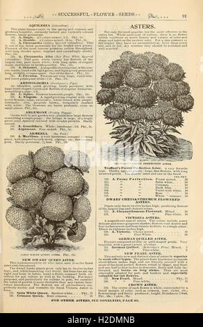 Dieses Handbuch bietet praktische Anleitungen zum Garten- und Landbau und gibt Ratschläge zu Feldfrüchten, Bodenbewirtschaftung und saisonalen Pflanztechniken. Auf Seite 91 werden wichtige landwirtschaftliche Praktiken aus dem späten 19. Jahrhundert vorgestellt, die das Wissen der damaligen Landwirtschaft widerspiegeln. Stockfoto