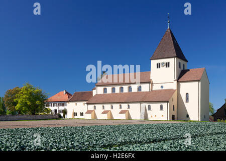 St. Georgs-Kirche, pflanzliche Felder vor, Obernzell, Insel Reichenau, Bodensee, Baden-Württemberg, Deutschland Stockfoto