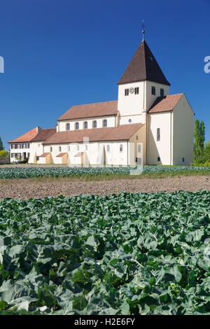 St. Georgs-Kirche, pflanzliche Felder vor, Obernzell, Insel Reichenau, Bodensee, Baden-Württemberg, Deutschland Stockfoto