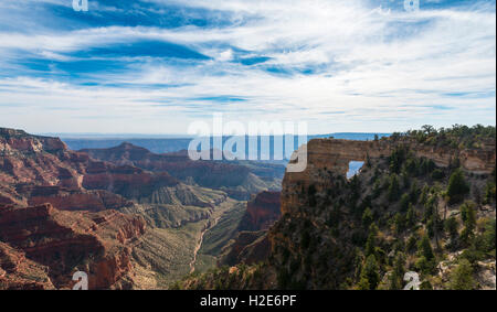 Fenster "Angel" Bright Angel Point, North Rim, Grand Canyon National Park, Arizona, USA Stockfoto