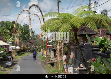 Indonesien, Bali, Buahan, Penjor Dekorationen auf Straße für fest Galungan und Kunighan Stockfoto