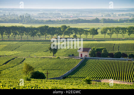 Weinberg-Hütte, Beaune, Côte de Beaune. Burgund. Frankreich, EU, Europa Stockfoto