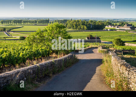 Weinberg-Hütte, Beaune, Côte de Beaune. Burgund. Frankreich, EU, Europa Stockfoto