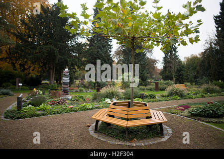 Düsseldorf, Deutschland. 27. Oktober 2016. Friedhof Gärtner Alfred
