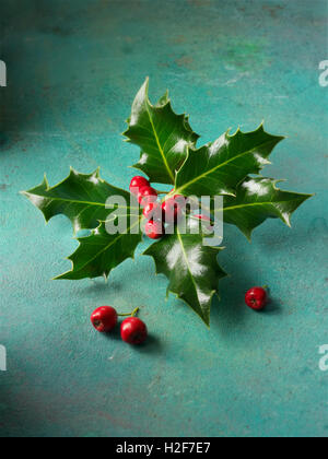Festliche saisonale Holly Blätter mit roten Beeren - Ilex aquifolium Stockfoto