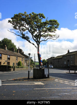 Ein kleiner Baum steht an der Kreuzung im Zentrum von Carleton in Craven in North Yorkshire Stockfoto