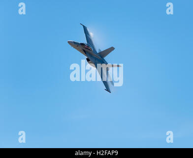 United States Navy F/A-18 Super Hornet militärischer Kampfjet. militärischer Kampfjet. Stockfoto