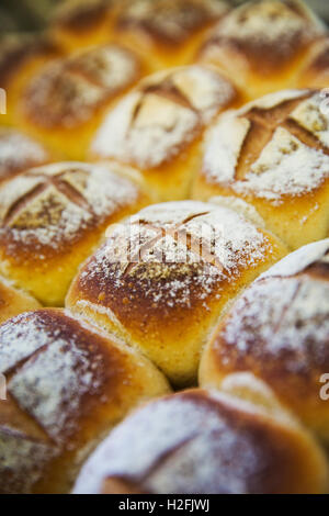 Frisch gebackene Batch Brötchen Mehl mit Kreuzen auf der Oberseite. Stockfoto