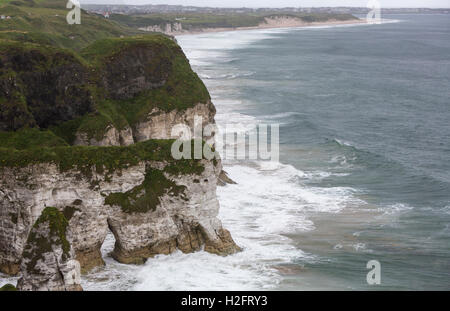 Felsige Küste in der Nähe von Dunluce Castle, Bushmills, County Antrim, Nordirland, Vereinigtes Königreich Stockfoto