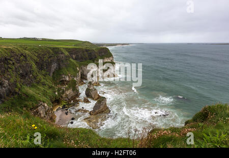 Felsige Küste in der Nähe von Dunluce Castle, Bushmills, County Antrim, Nordirland, Vereinigtes Königreich Stockfoto